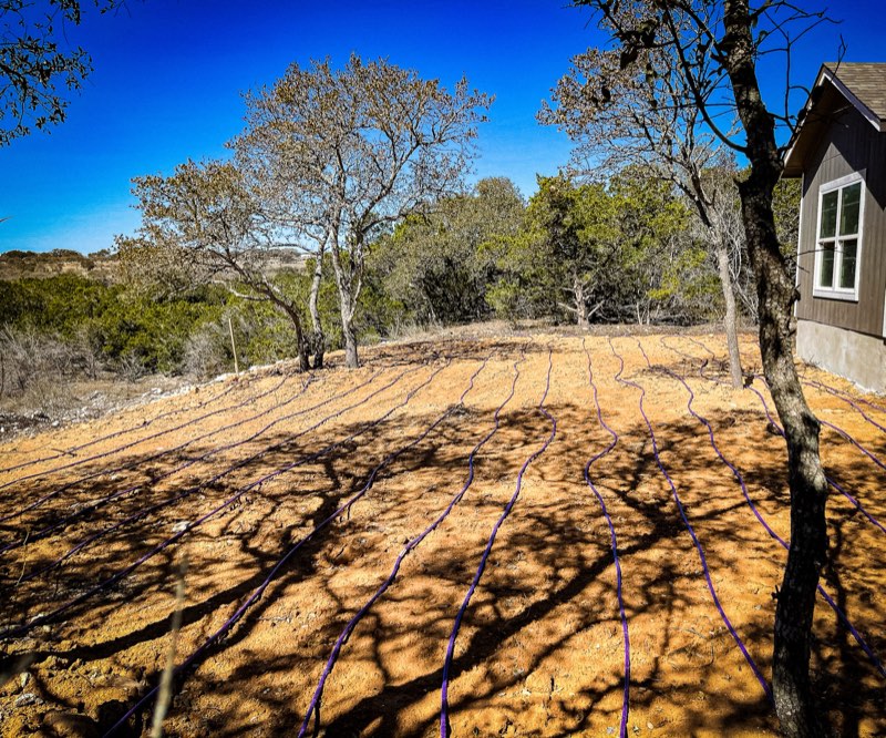 Drip emitter lines across a Hill Country lot