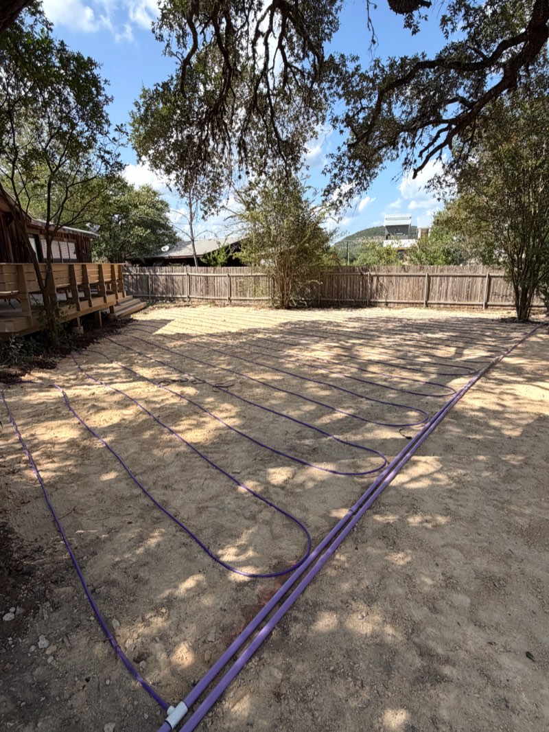 Drip field under live oaks