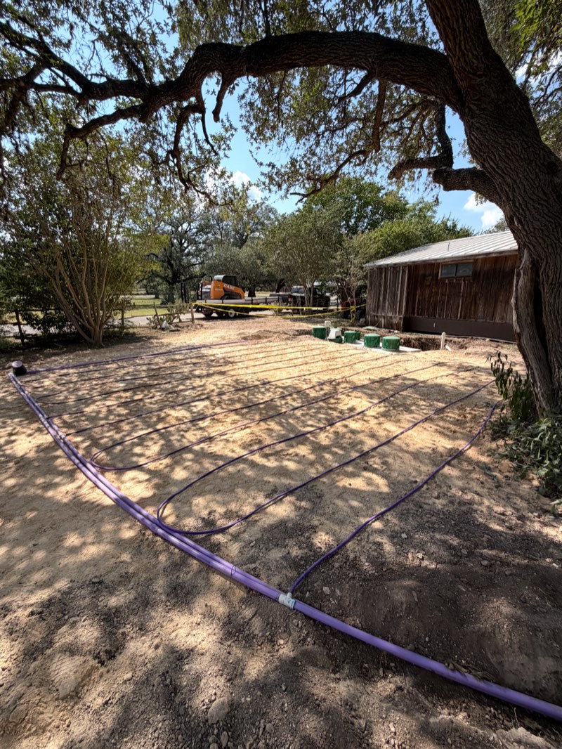 Drip septic lines curving under a big oak next to a barn